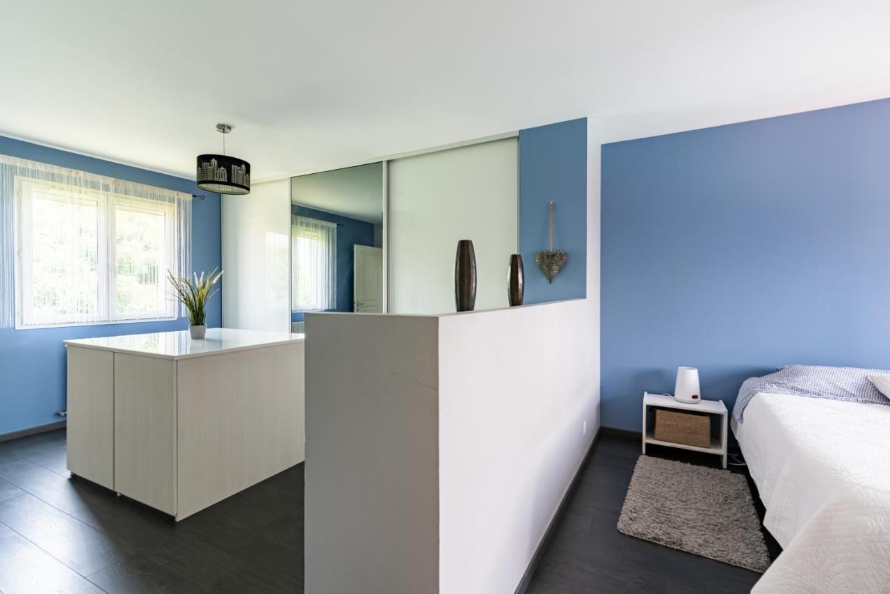Signoret - Belle Maison Avec Piscine Villa Toulouse Kültér fotó